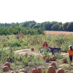 2008-10-07 (045).jpg